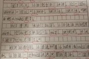 吃瓜大赛作文600字